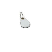 SQD-EVRFIDKF-10 Key / Card (quantity of 10)