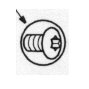T-4000-628 Tamperproof Screws