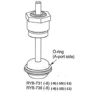 2" Valve Repair Kit Cv 41