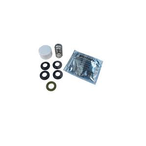 R43176754002 Packing kit for 2 1/2 and 3 in VGF valves