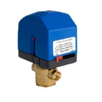 VM2213T23A00T 1/2" Swt, 2-Way, 35 PSI, 24V, N.O., w/Time-Out